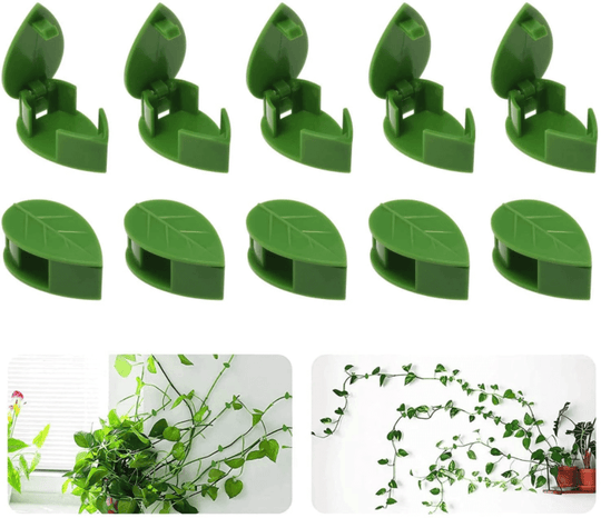 Clips De Fixare Pentru Plantele Cataratoare