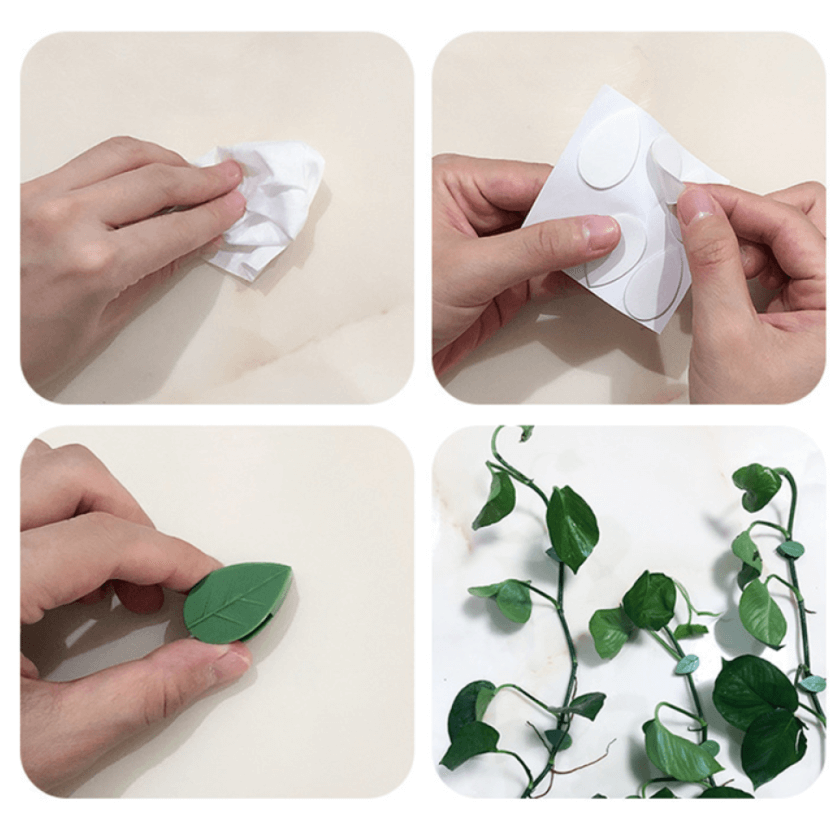 Clips De Fixare Pentru Plantele Cataratoare