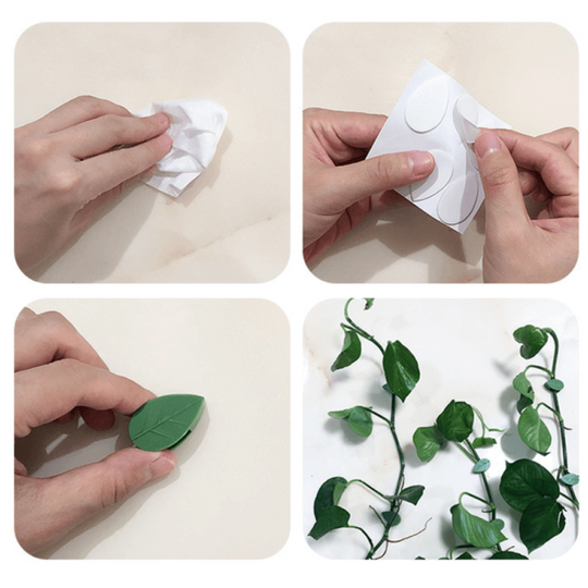 Clips De Fixare Pentru Plantele Cataratoare
