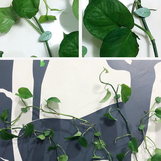 Clips De Fixare Pentru Plantele Cataratoare