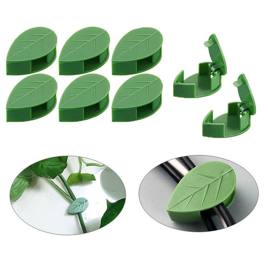 Clips De Fixare Pentru Plantele Cataratoare