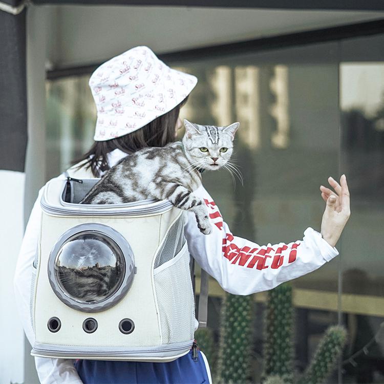 Cușcă Pentru Animale De Companie