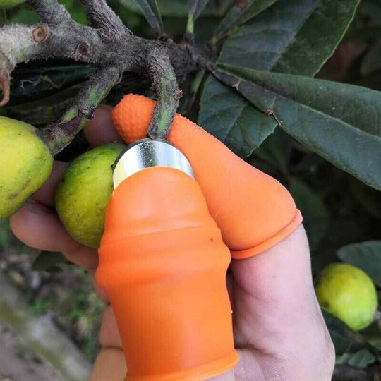Cuțit De Cules Legume