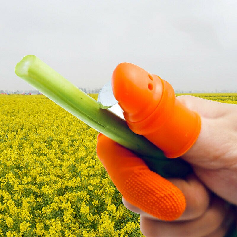 Cuțit De Cules Legume