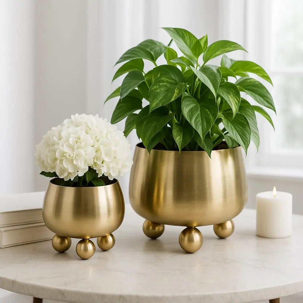 Ghiveci Modern pentru Plante Interior și Exterior 3