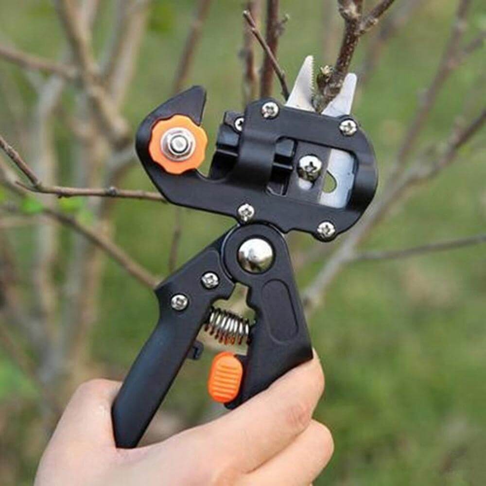 Instrument De Altoire Pentru Grădină