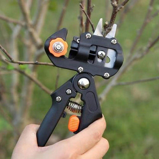 Instrument De Altoire Pentru Grădină