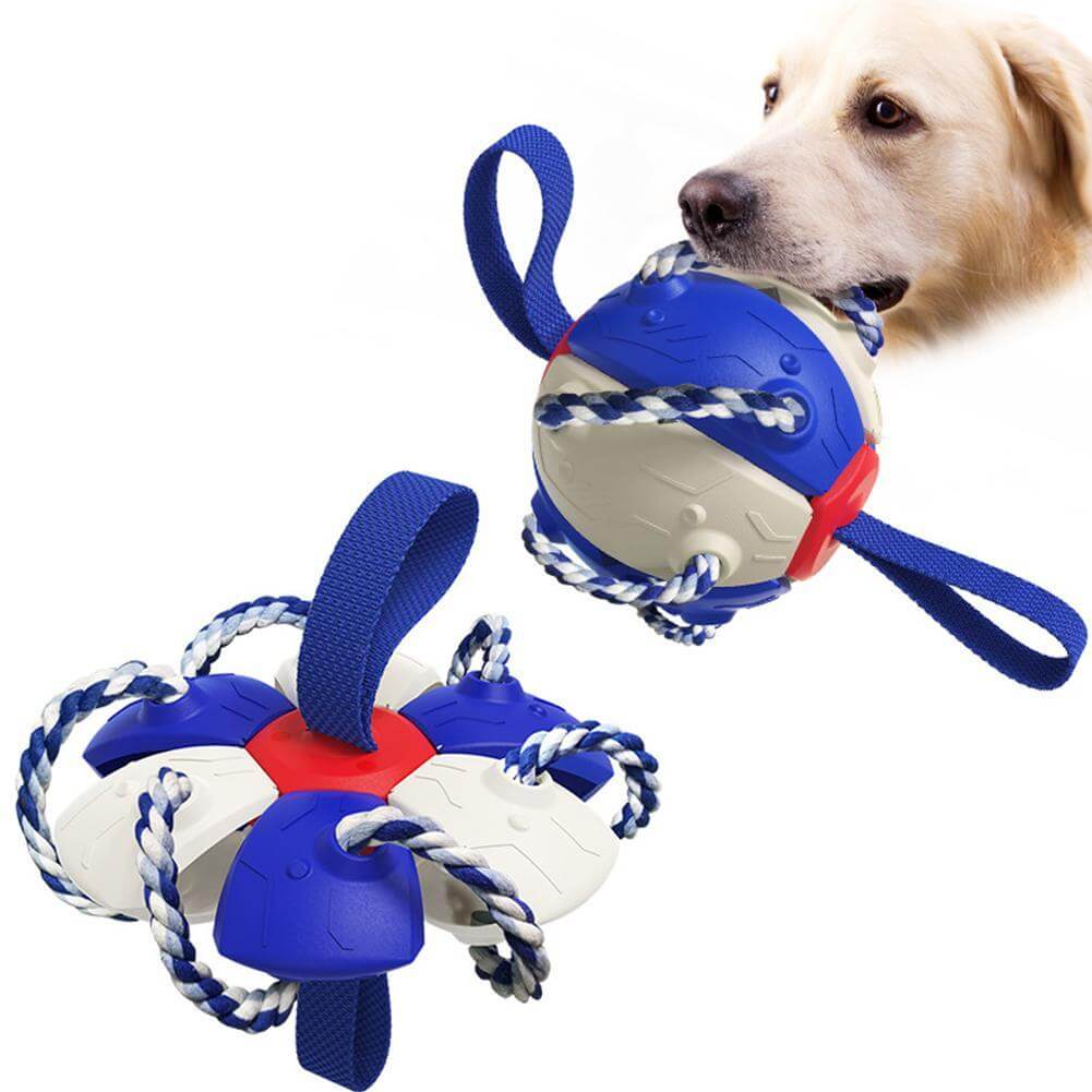 Jucărie Interactivă Pentru Câini În Formă De Frisbee Cu Bal.