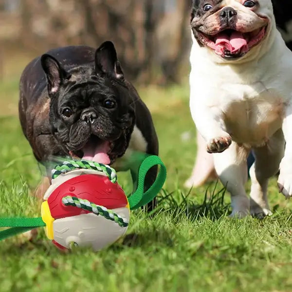 Jucărie Interactivă Pentru Câini În Formă De Frisbee Cu Bal.