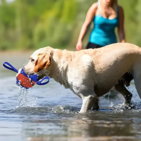 Jucărie Interactivă Pentru Câini În Formă De Frisbee Cu Bal.
