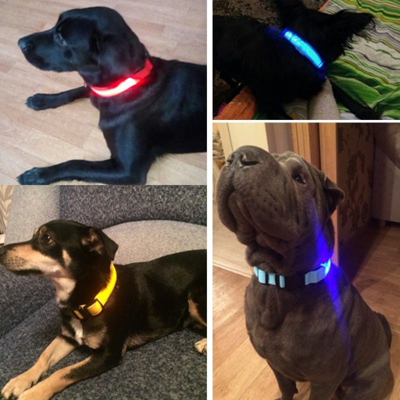 Led Guler Pentru Câini