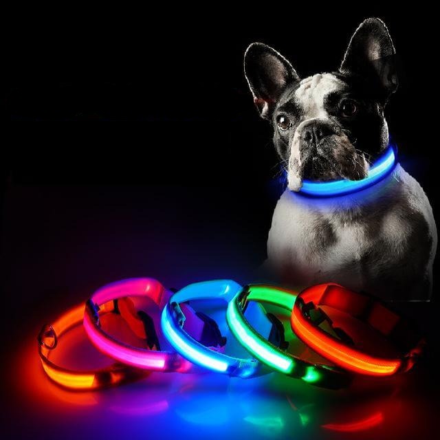 Led Guler Pentru Câini