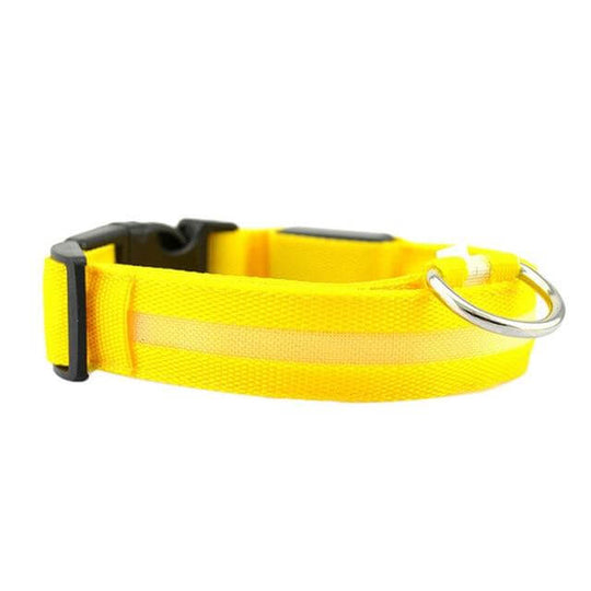 Led Guler Pentru Câini