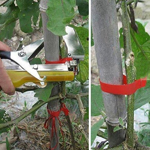 Legător De Plante