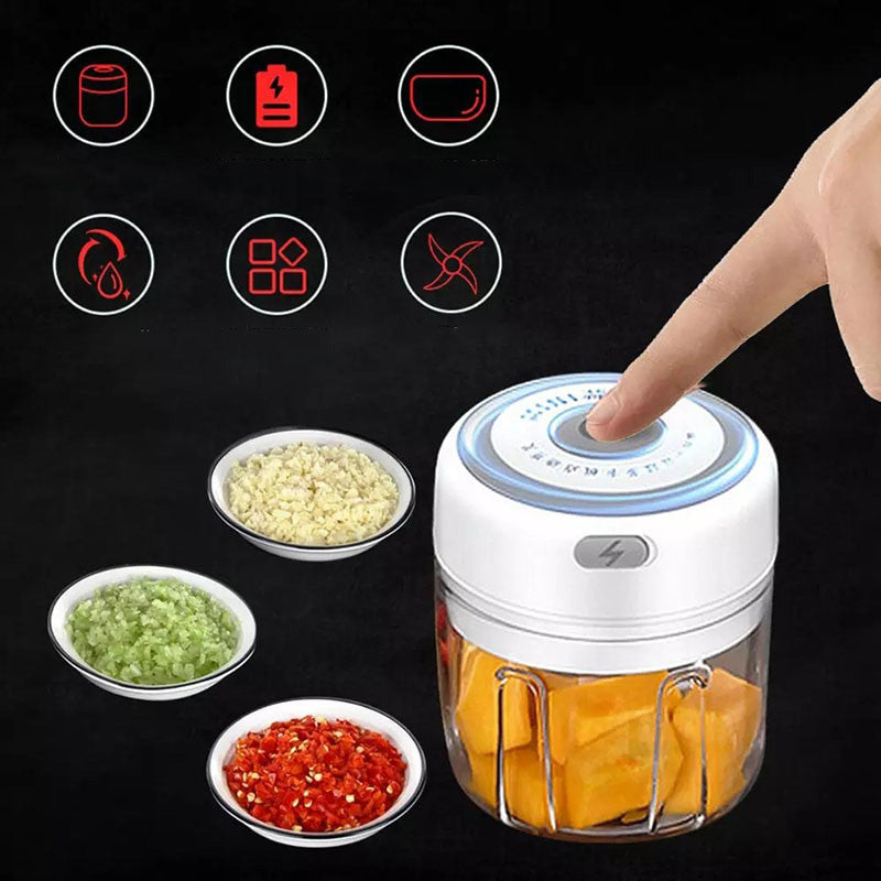 Mini Electrocutor De Alimente