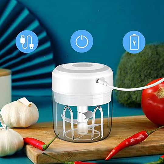 Mini Electrocutor De Alimente