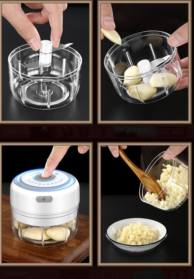 Mini Electrocutor De Alimente