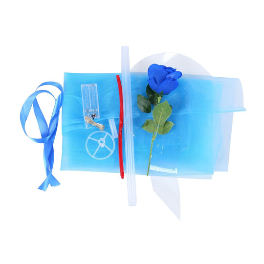 Pachet De Baloane Luminoase Cu Trandafiri Led (Set De Bricolaj)