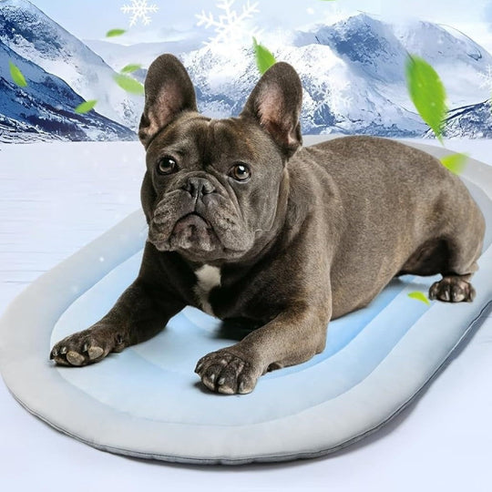 Pat pentru animale de companie unisex cu design ergonomic 1