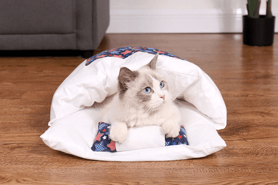 Sac De Dormit Pentru Pisici