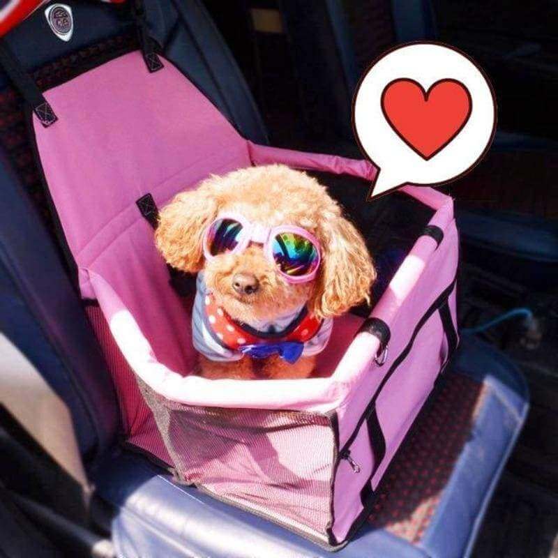 Scaun Auto De Siguranță Pentru Animale De Companie