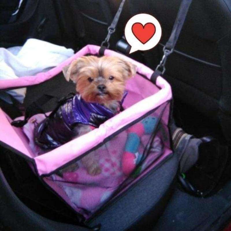 Scaun Auto De Siguranță Pentru Animale De Companie