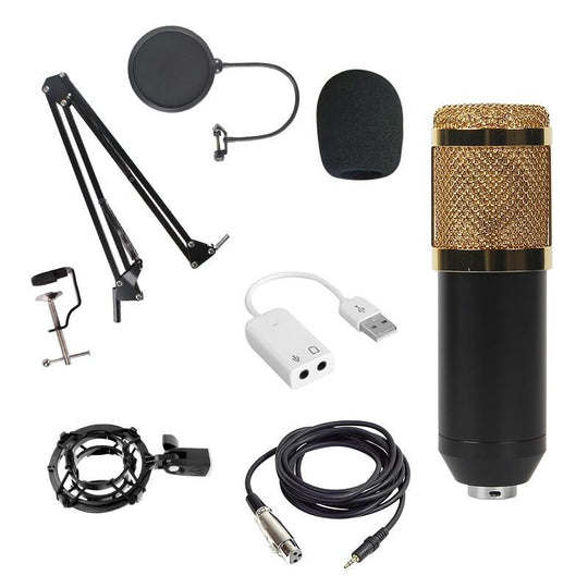 Set Microfon Condensator Bm800