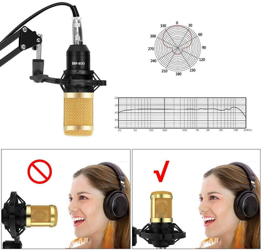 Set Microfon Condensator Bm800
