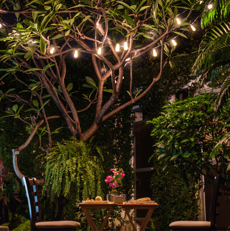 Solar-Powered Led În Aer Liber Lumini În Aer Liber String Lights