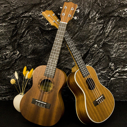 Ukulele Acustic Colorat Pentru Bărbați și Femei Design Vibrant 1