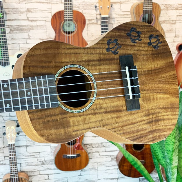 Ukulele pentru bărbați și femei cu design exotic și dimensiune compactă de 23 inch 1