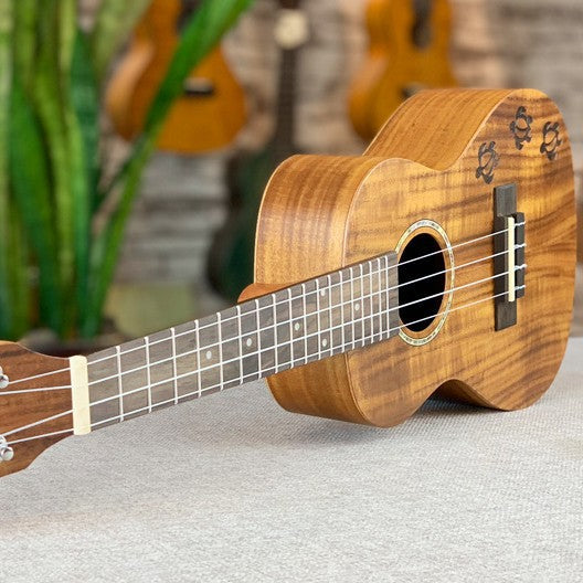 Ukulele pentru bărbați și femei cu design exotic și dimensiune compactă de 23 inch 2